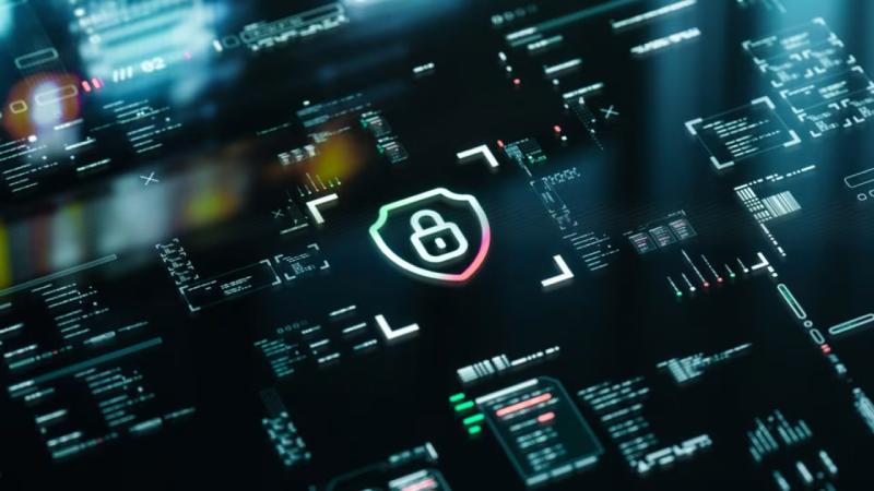 东丽区软件开发公司
